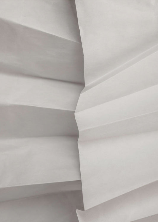 Papierstudies 13 | Canvas