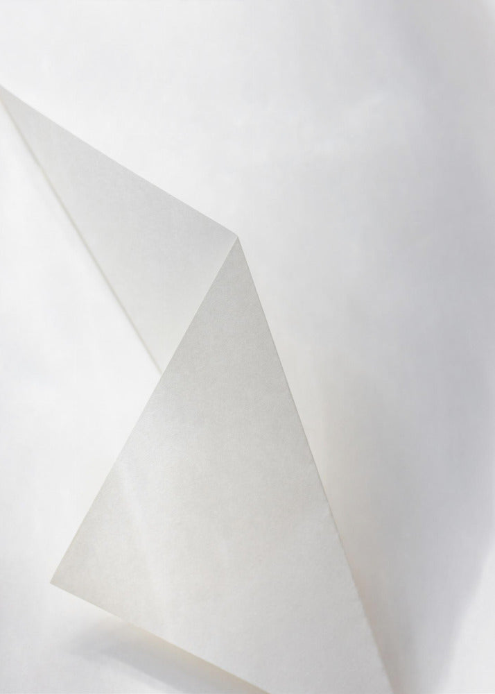 Papierstudies 18 | Poster