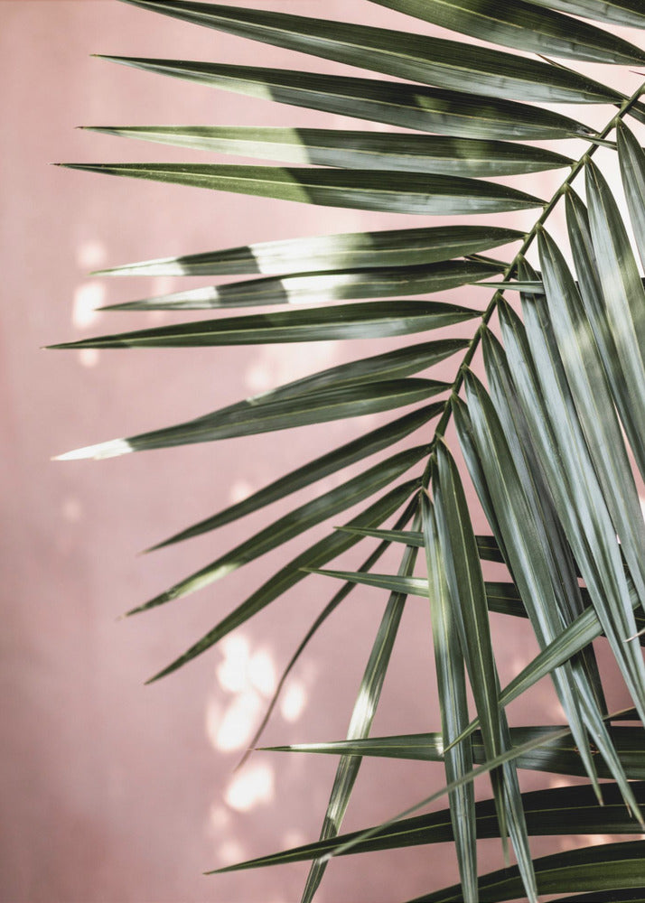 Palmbladeren 23 | Canvas