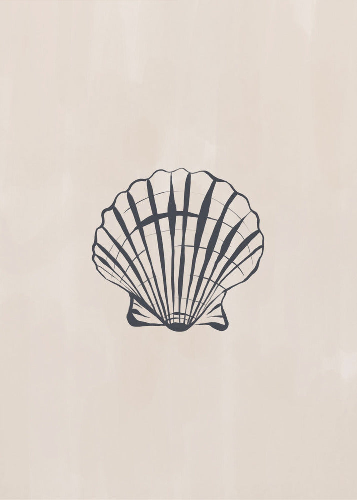 Seashell | Canvas