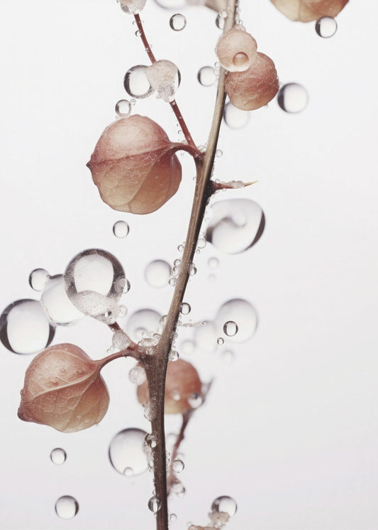 Bubbels en bloemen | Poster