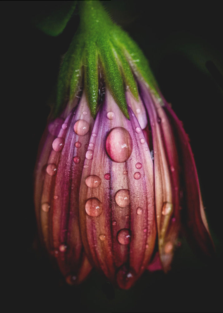 Na de regen | Poster