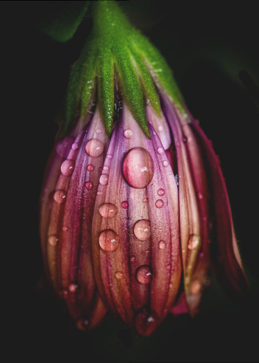 Na de regen | Poster