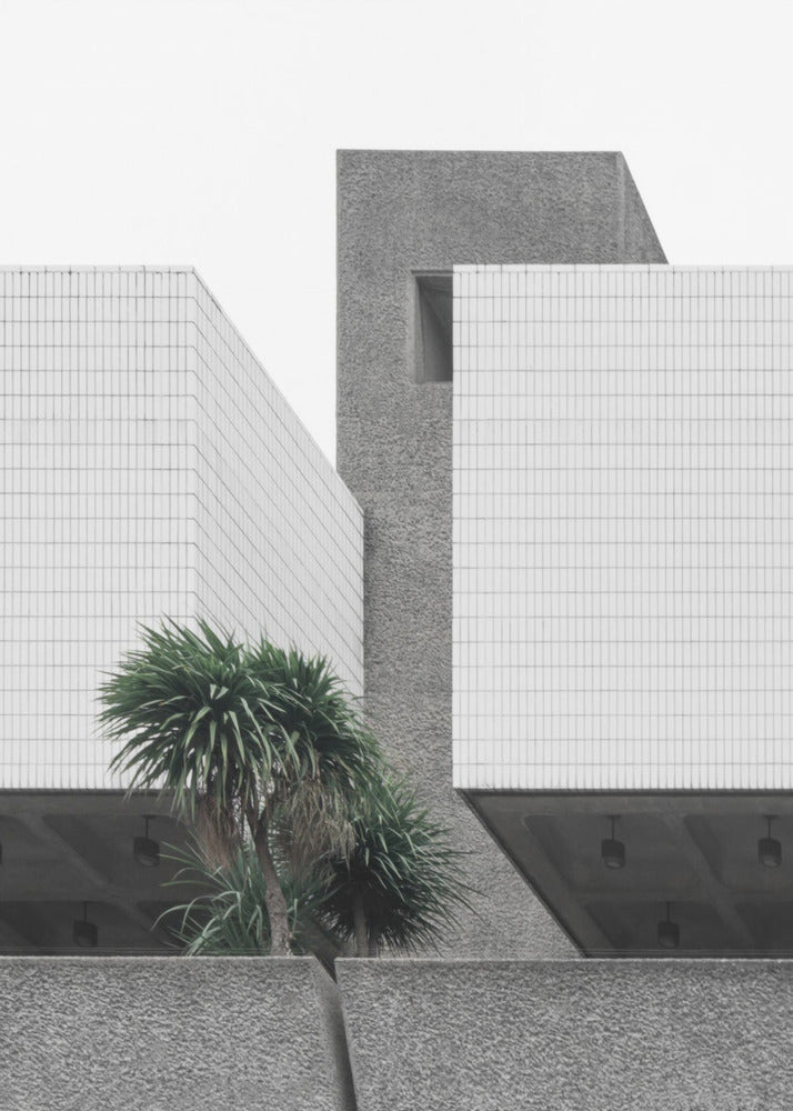 Eenzame palmen | Canvas