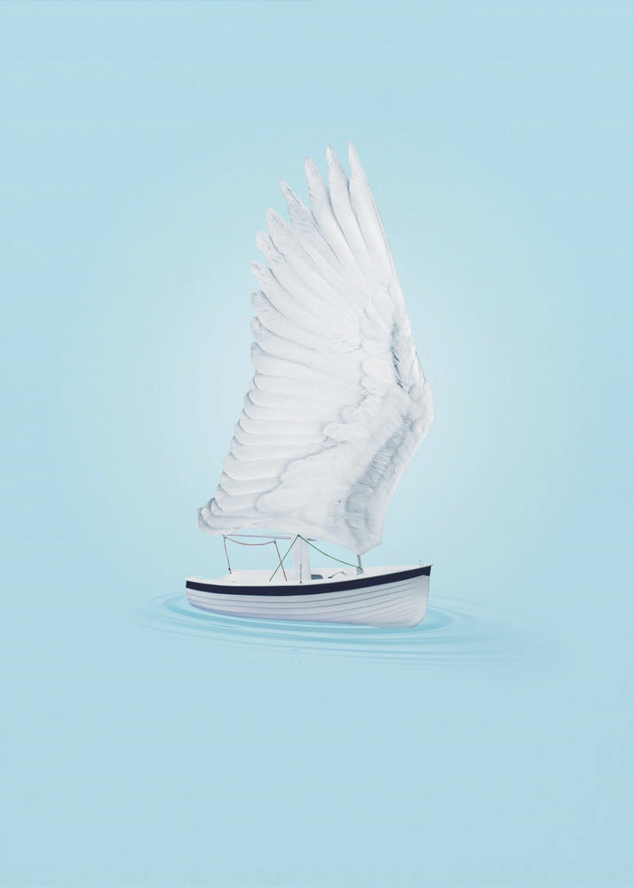 Vleugelboot | Poster