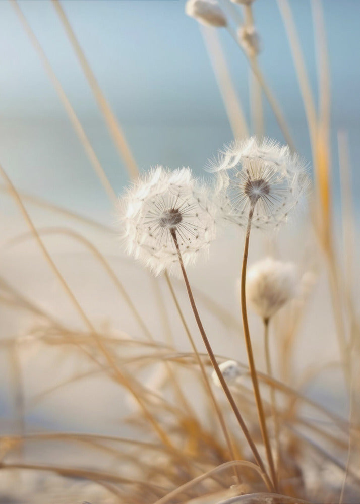 Gefluister in de wind | Canvas