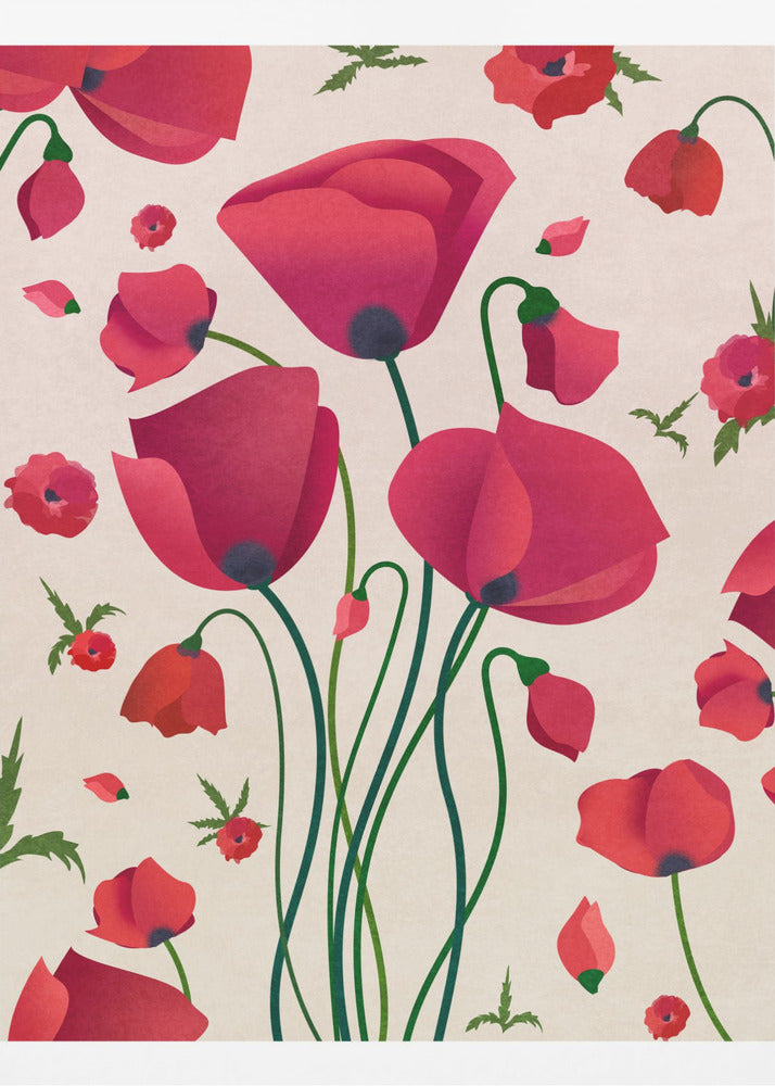 Poppy Blossoms | Canvas
