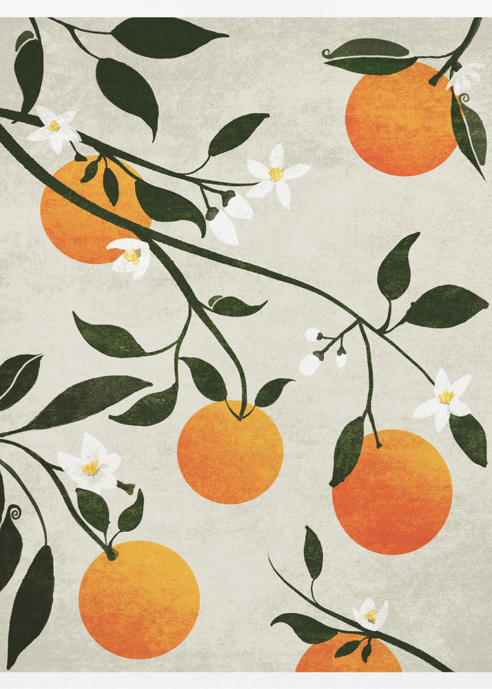 Oranges in Bloom | Canvas