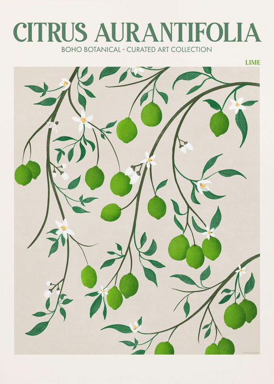 Botanische Lime Bliss | Poster