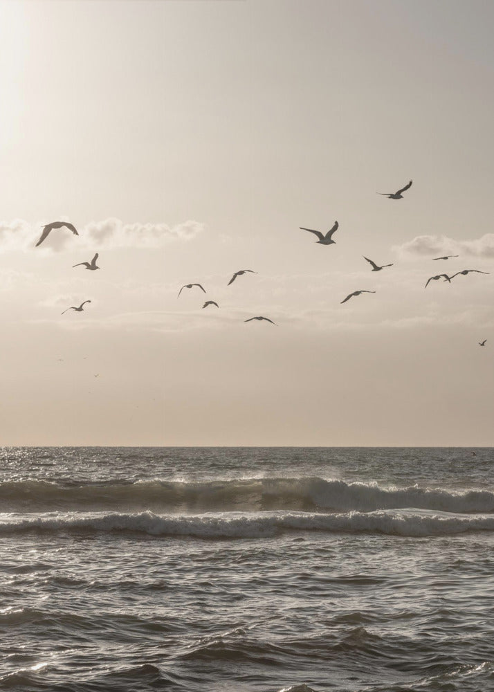 Vogels en de zee 3 | Canvas