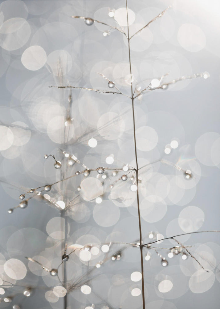 Natuurlijke schittering | Canvas