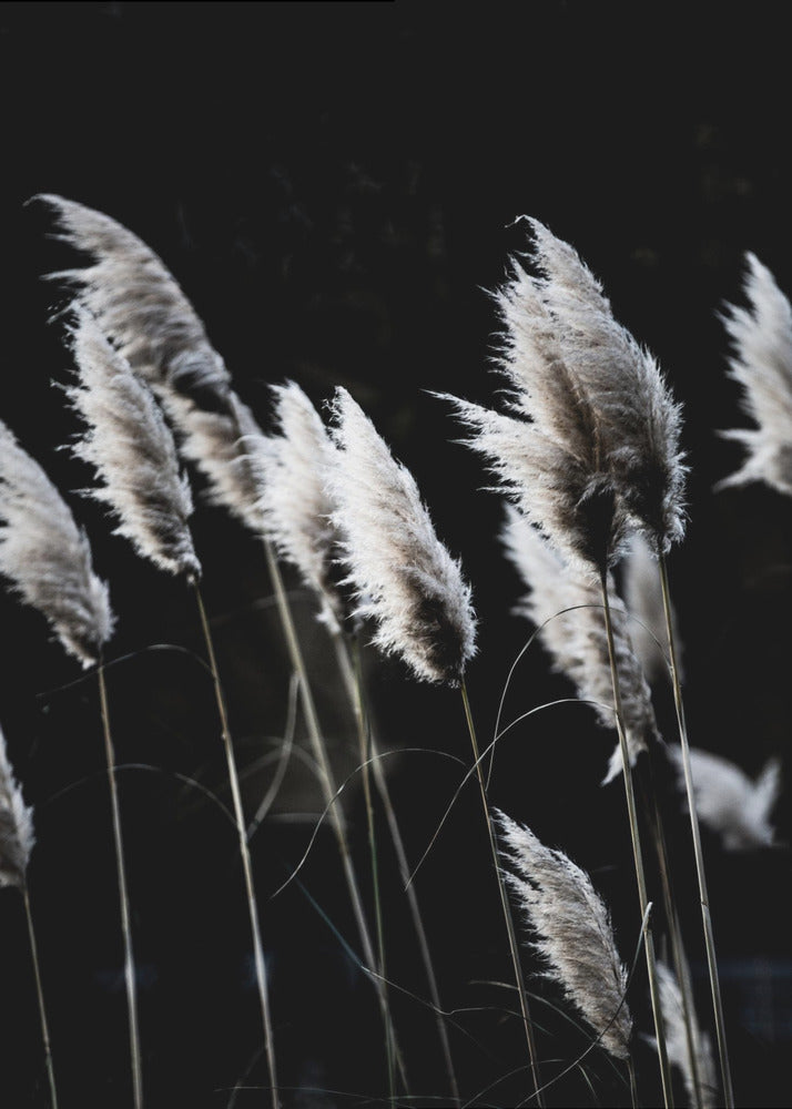 Grass 4 | Poster