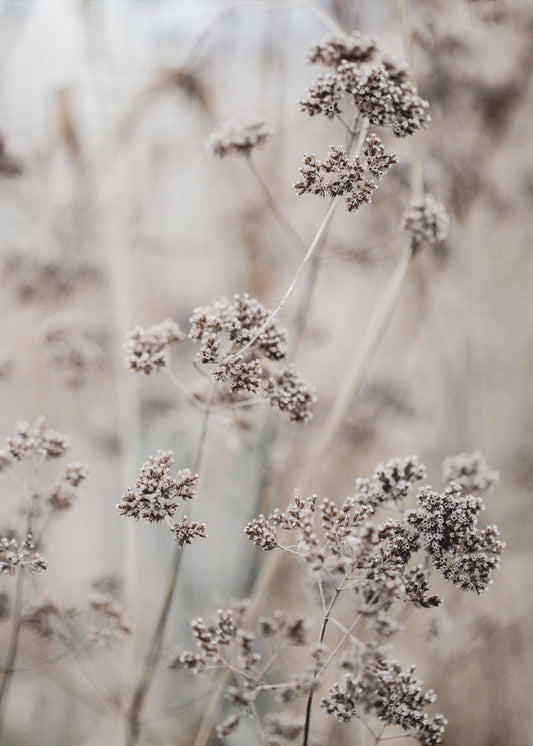 Onbekend 8 | Canvas