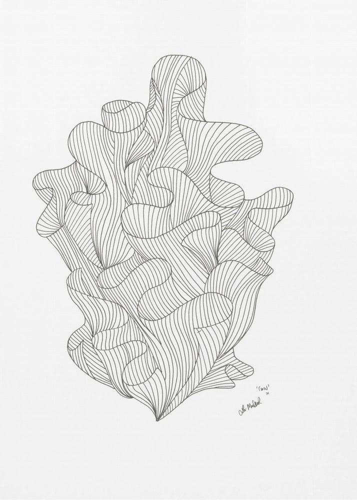 Coral Jpeg | Canvas