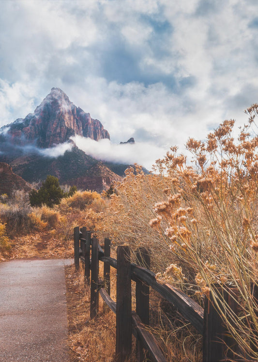 Het pad naar de rots | Canvas
