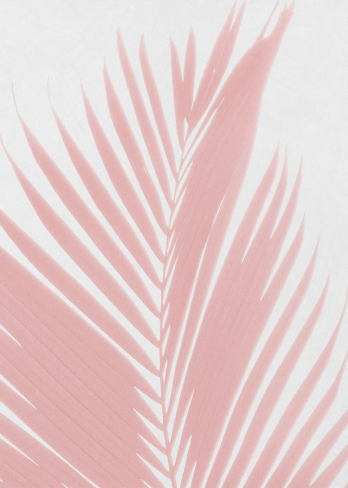 Roze palmbladeren silhouet | Canvas
