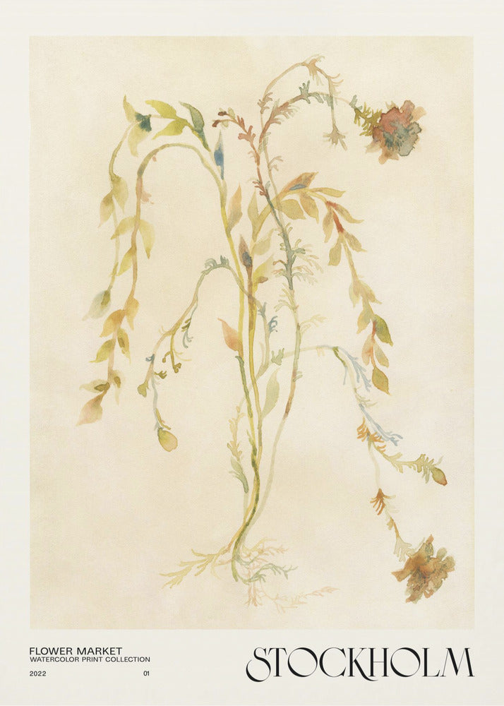 Collectie aquarelprints. Bloemenmarkt - Stockholm | Poster
