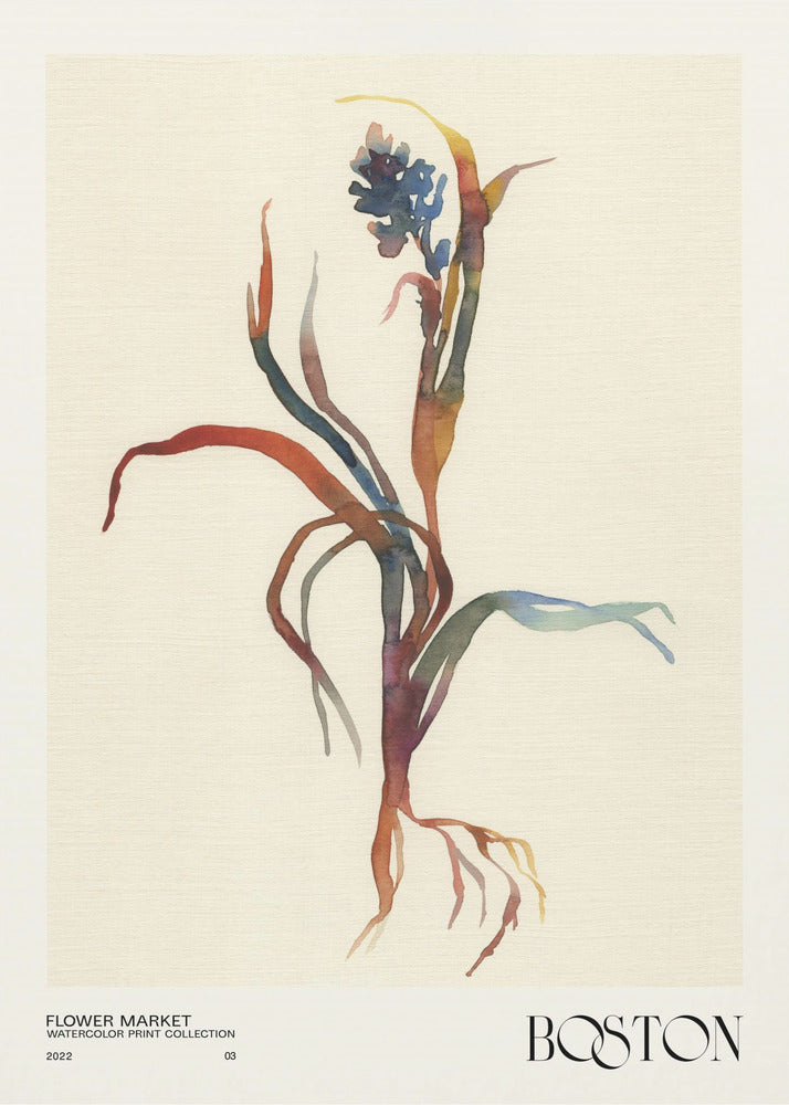 Collectie aquarelprints. Bloemenmarkt - Boston | Poster