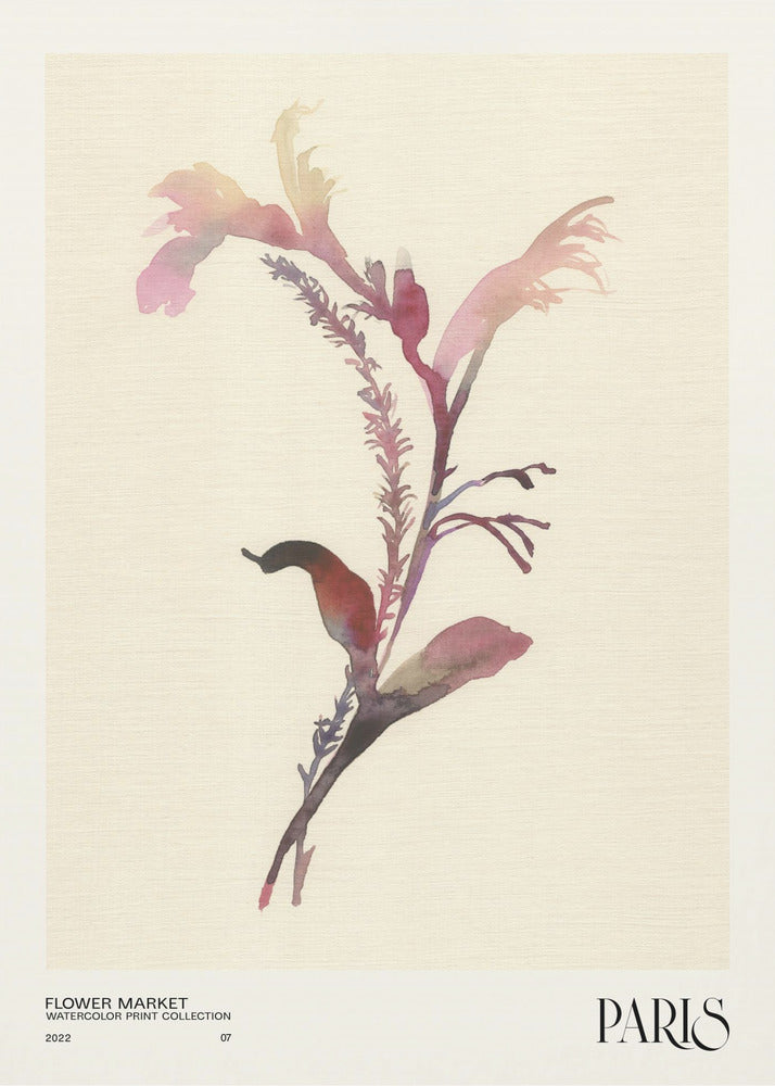 Collectie aquarelprints. Bloemenmarkt - Parijs | Poster