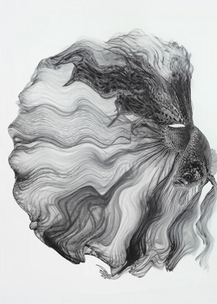 INKT BETTA | Poster