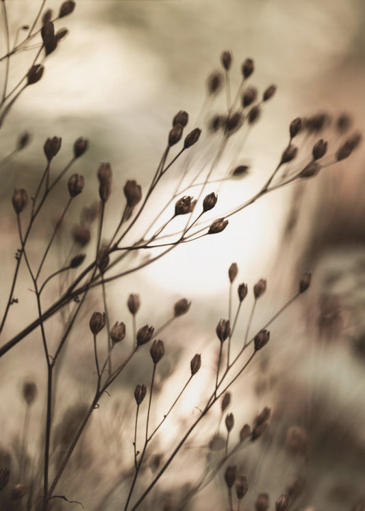 Herfstverlichting | Poster