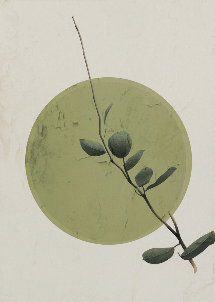 Groene Sereniteitscirkel | Canvas