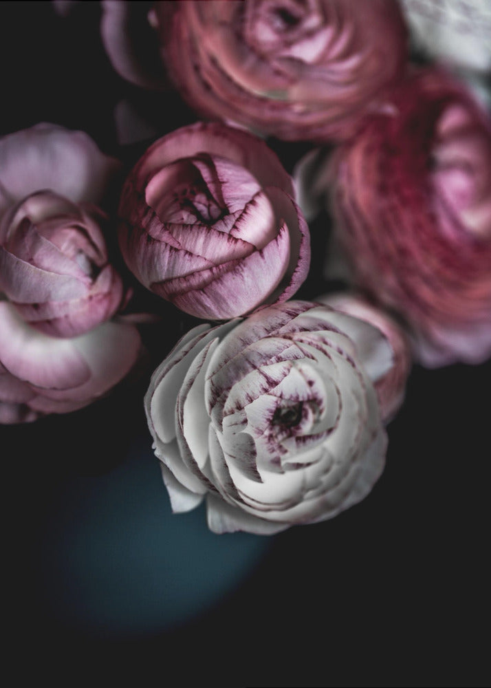 Donkere Bloemen 2 | Poster