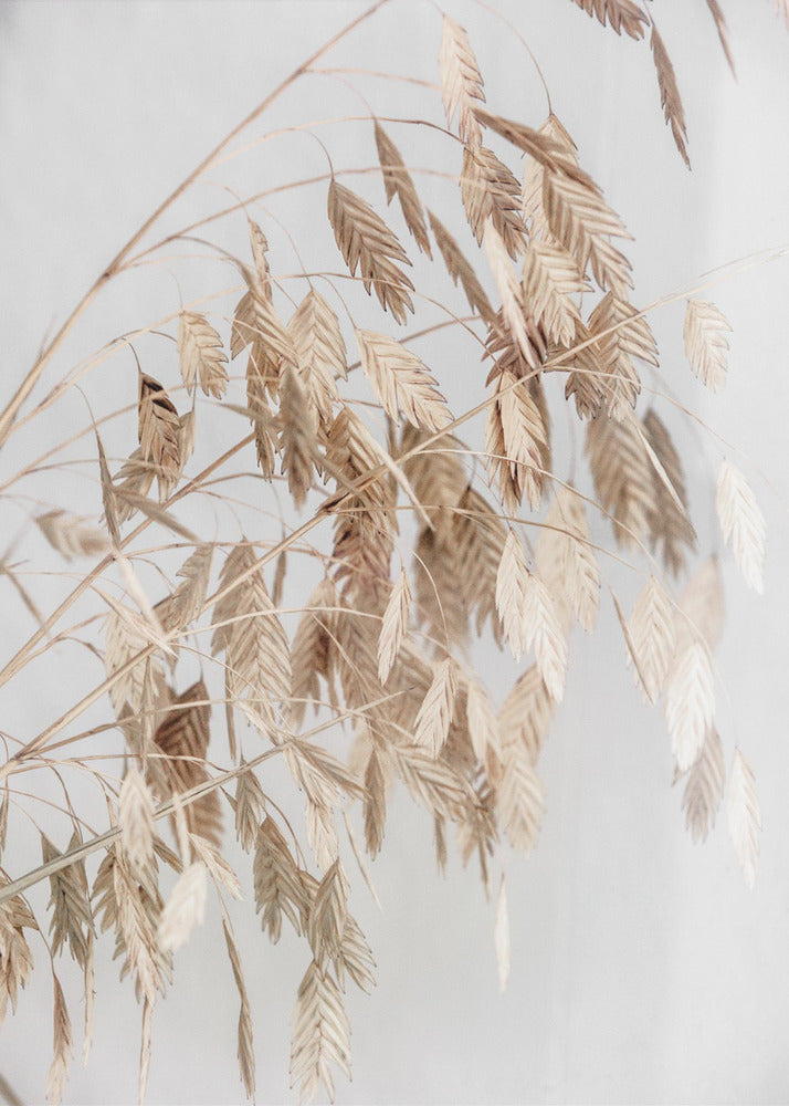 Onbekend 4 | Canvas