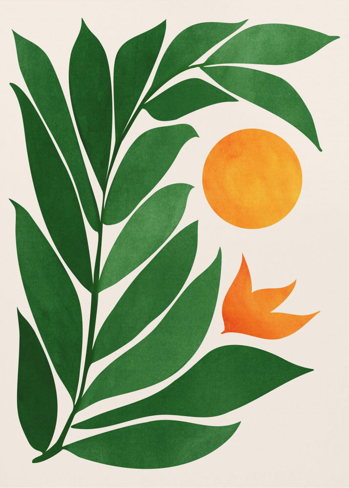Zonsondergang in tropisch bos | Poster