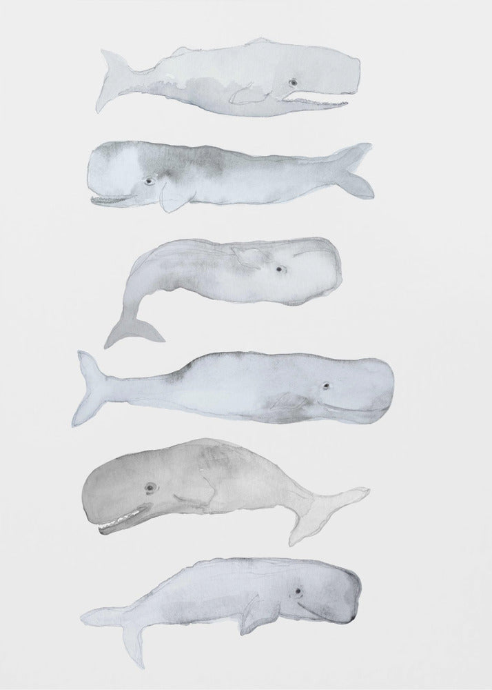 Walviskunst | Poster