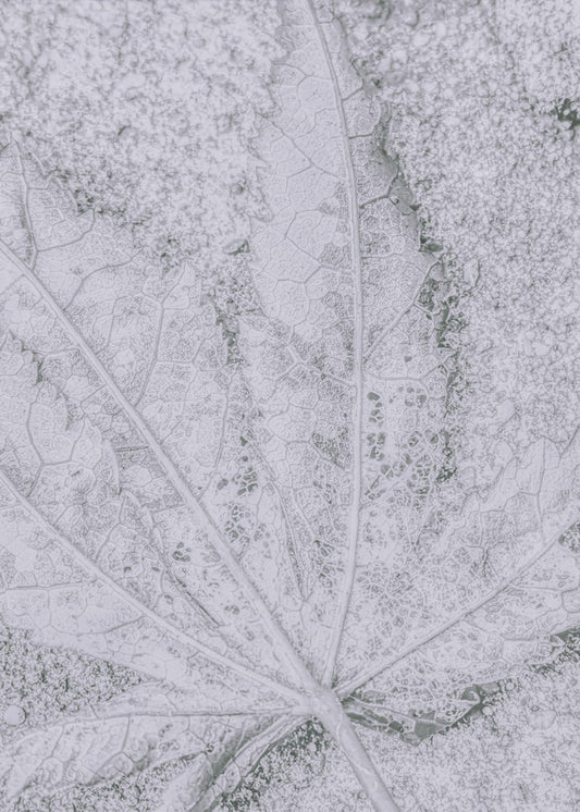 Terug naar de aarde | Canvas