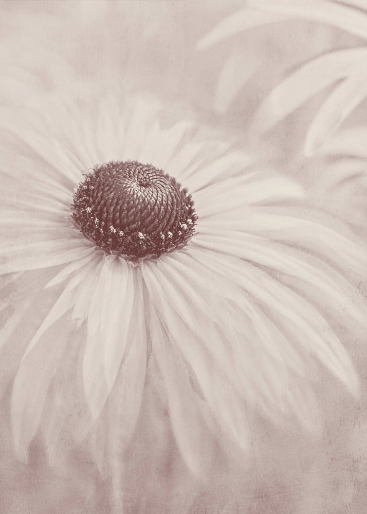 Herinnering | Canvas
