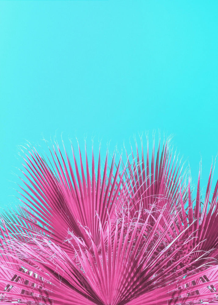 Elektrische roze palmbladeren | Canvas