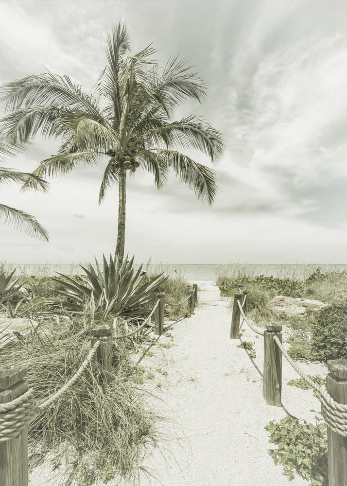 Vintage pad naar het strand | Poster