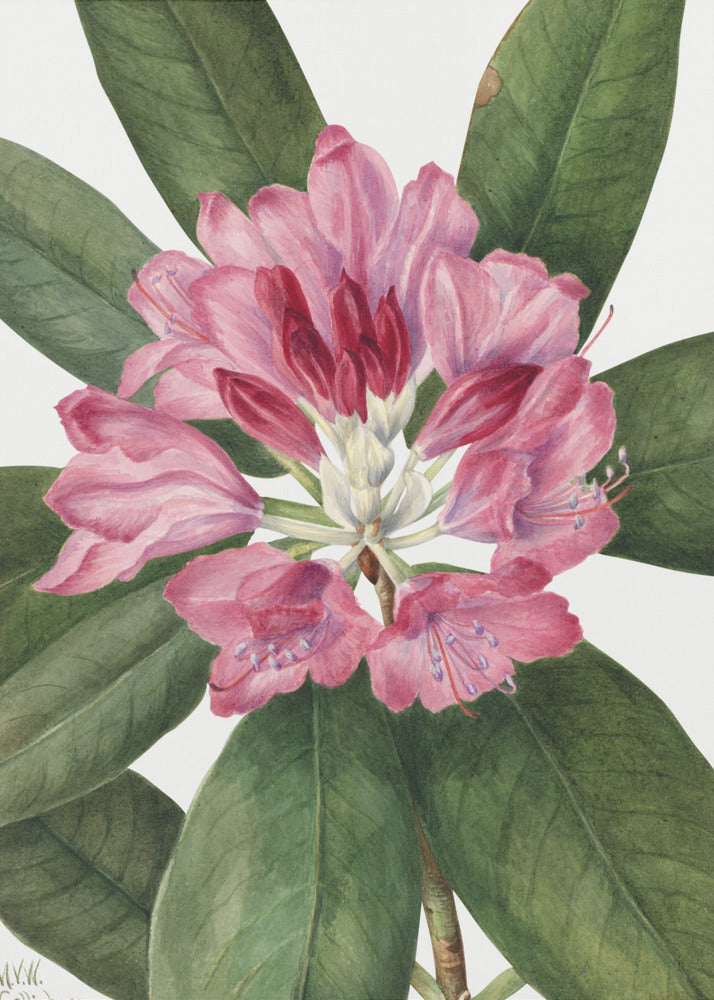 Berg Rose Baai (1932) | Canvas