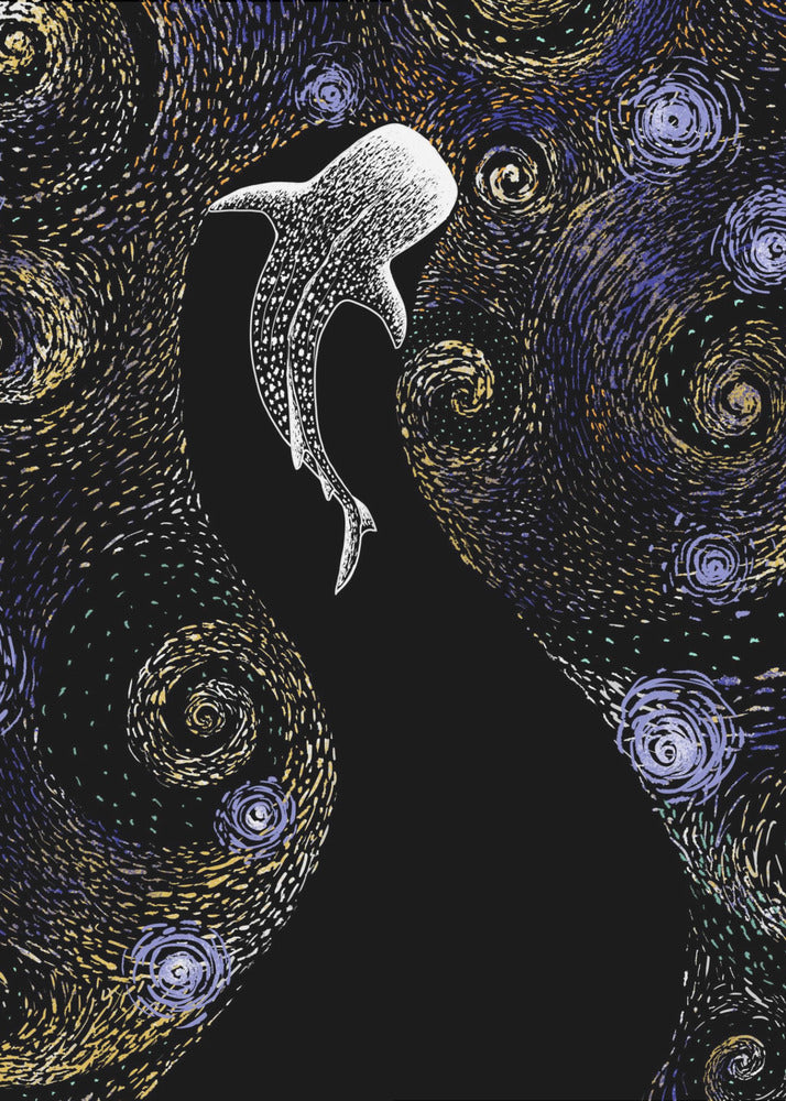 Sterreneter in Van Gogh-stijl | Poster