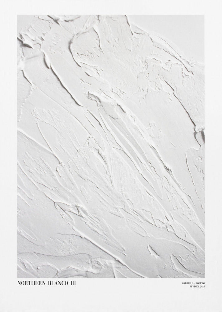 Noordelijke Blanco nr. III | Canvas