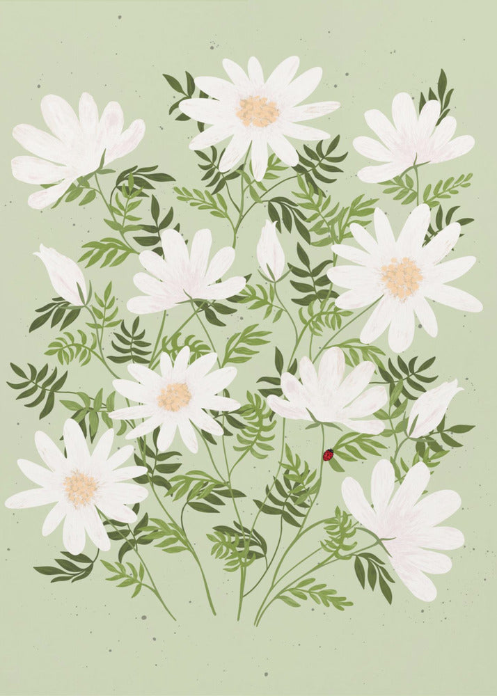 Lieveheersbeestjesbloemen | Canvas
