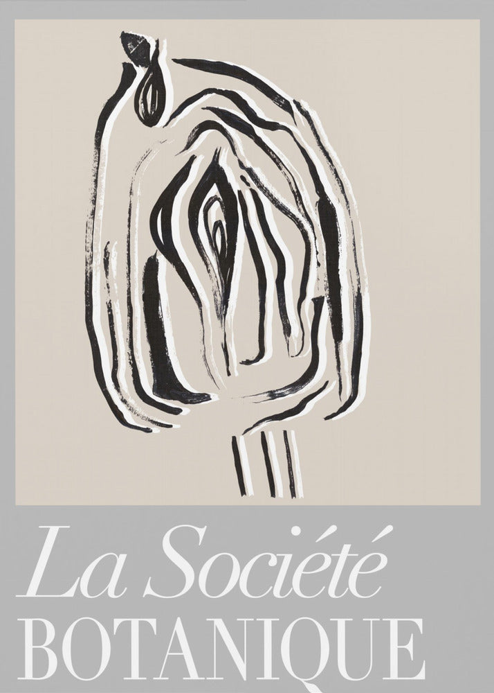 Zaadpod van La Société Botanique | Poster