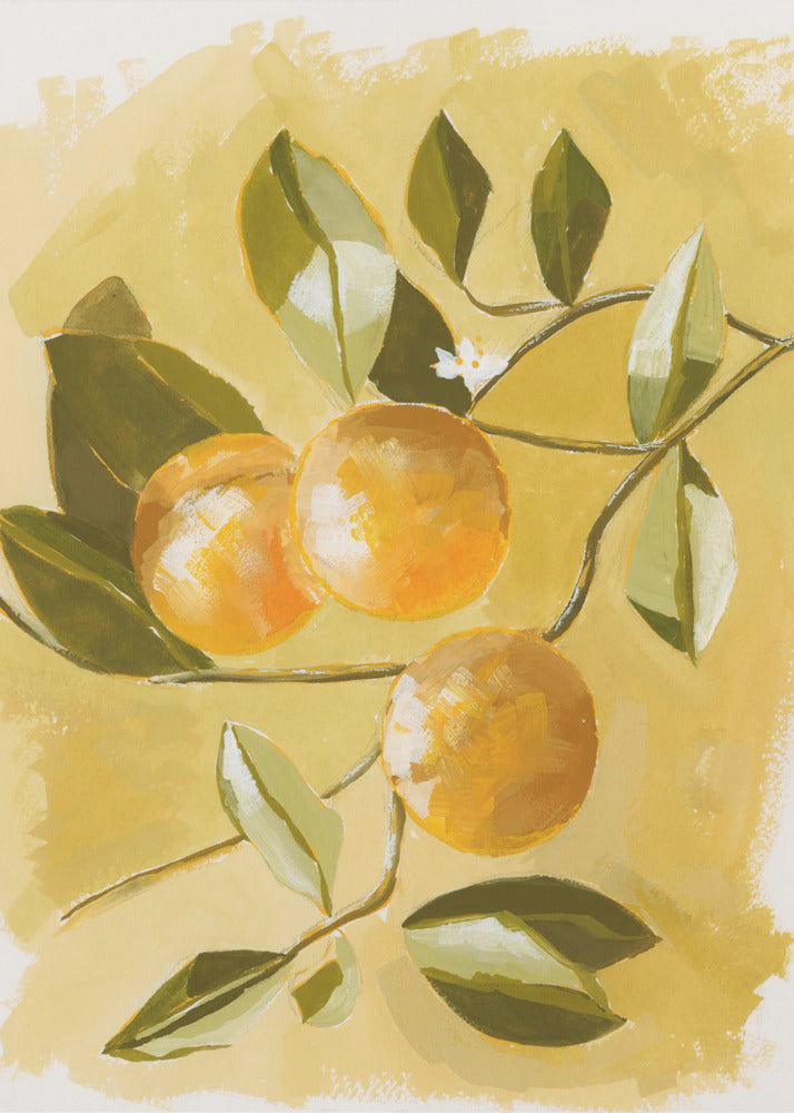 Sinaasappelboom | Canvas