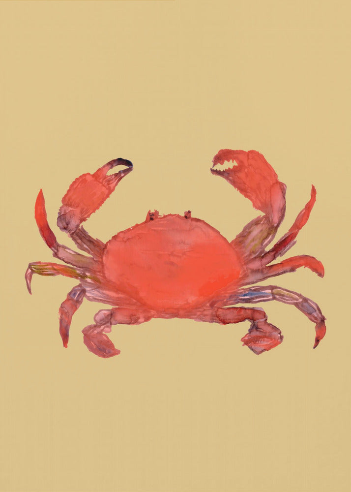 Krabposter | Poster