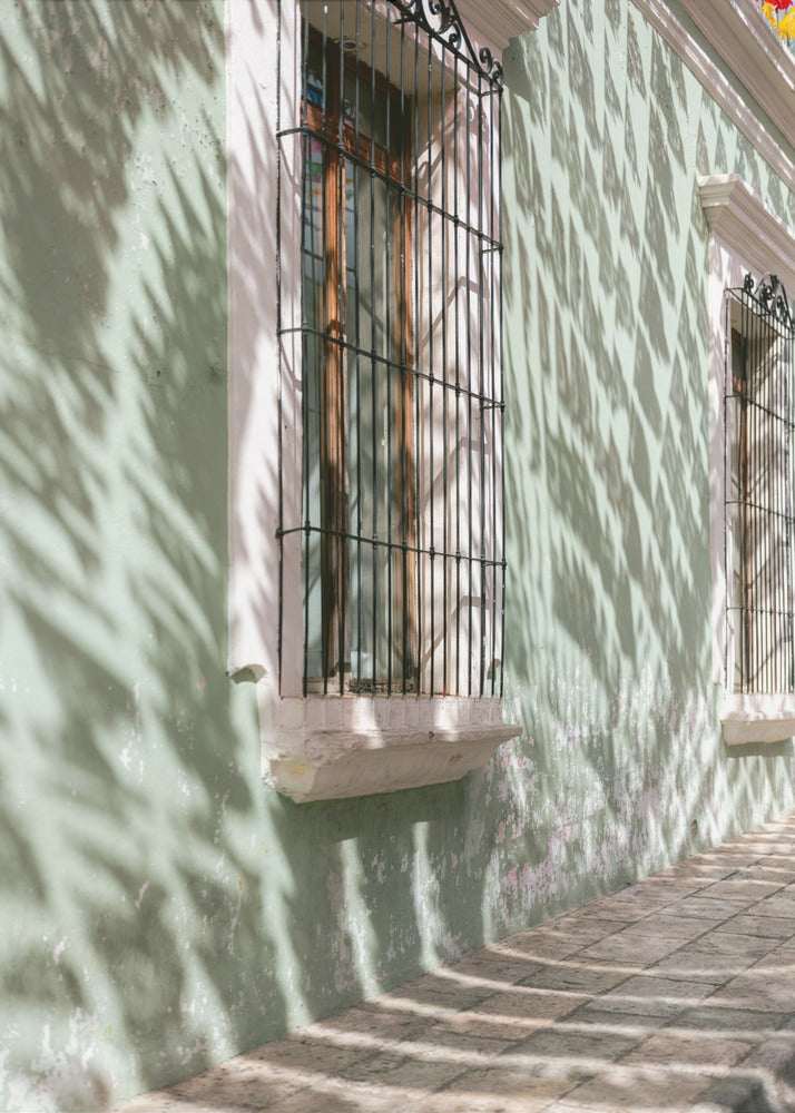 Groenen van Oaxaca | Reisfotografie Mexico | Canvas