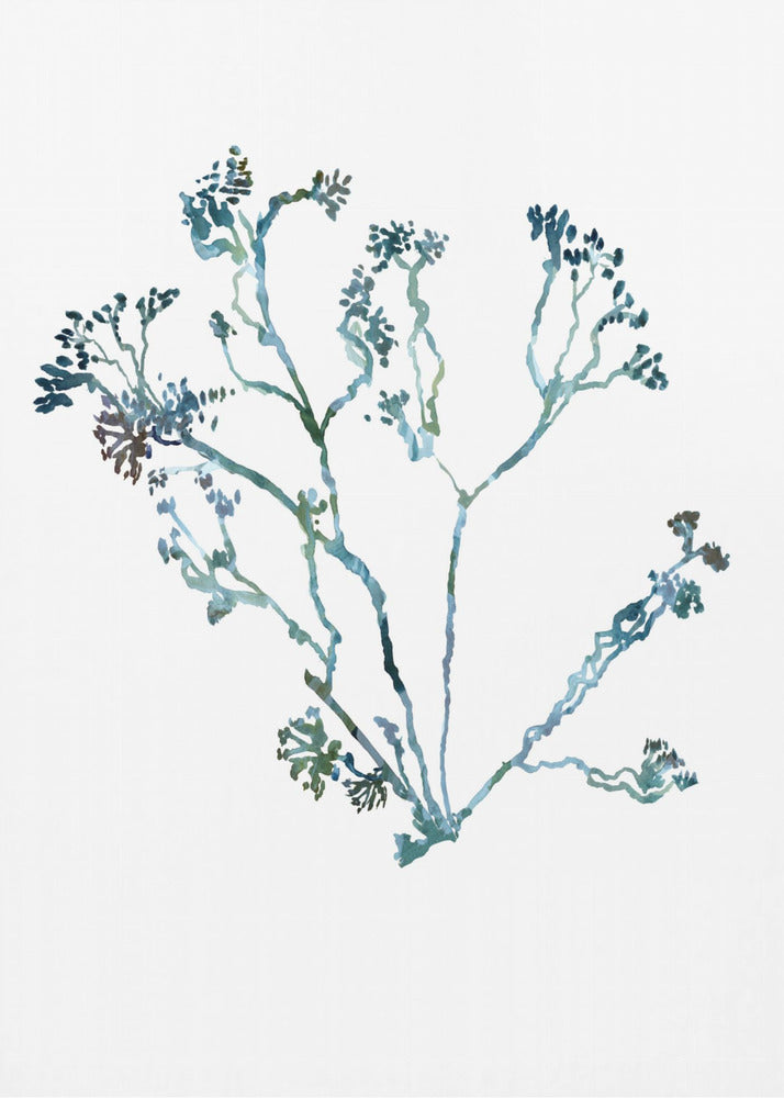 Delicate Blue Flowers 2 | Poster