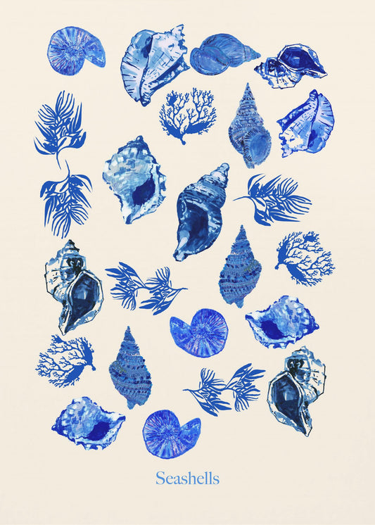 Schelpenposter | Canvas