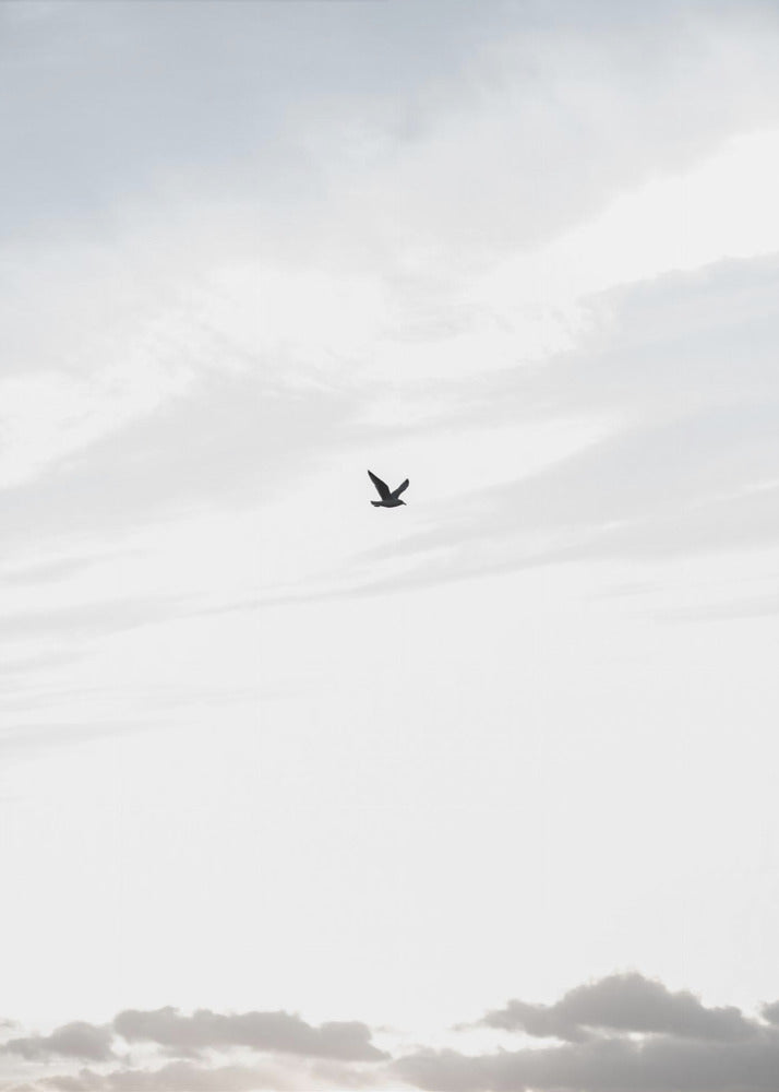 Hoog vliegen | Poster