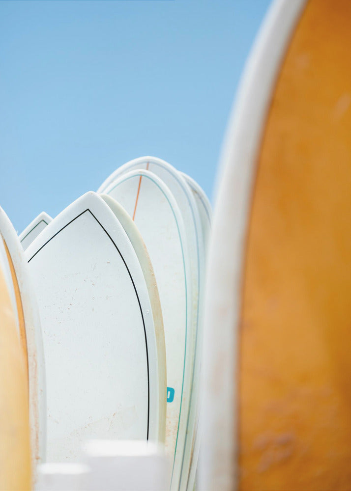 Surf Vibes | Canvas
