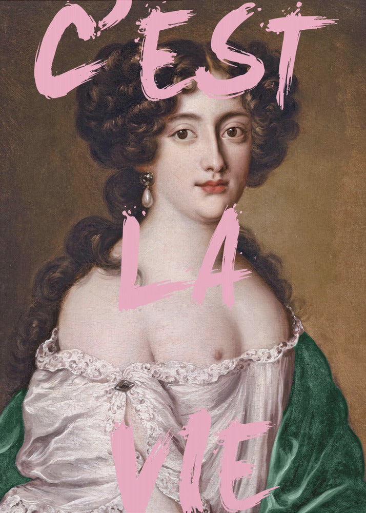 Cestlavie3 Verhouding 2x3 | Poster