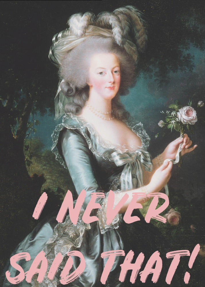 Ineversaidthat-verhouding 2x3 | Poster