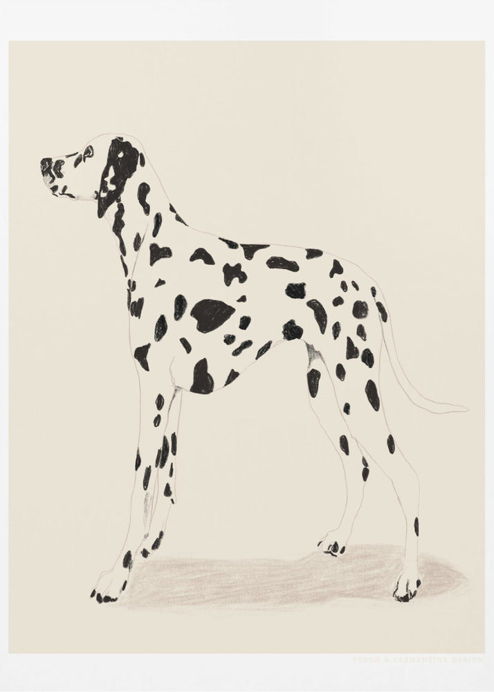 Pandc Dalmatiër | Poster