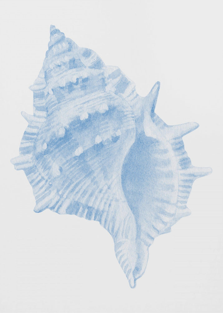 Eén blauwe schelp | Canvas